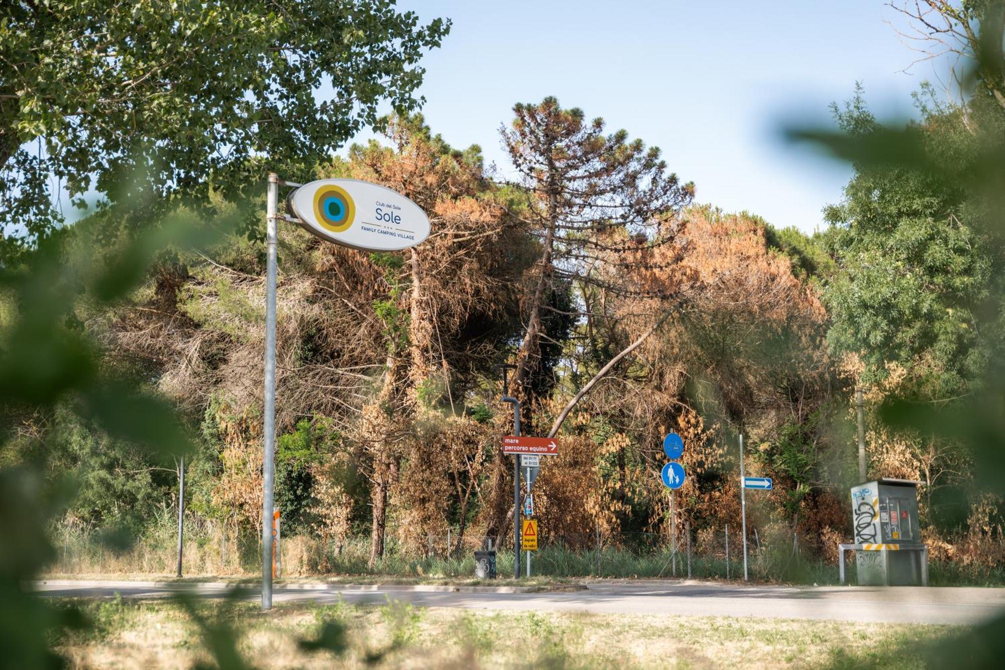 Club Del Sole Marina Romea Easy Camping Village Extérieur photo